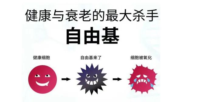 玻尿酸的作用與功效有哪些？